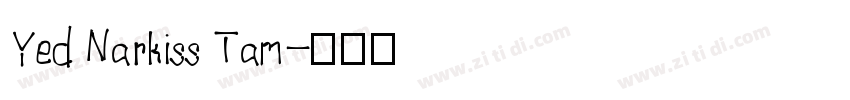 Yed Narkiss Tam字体转换